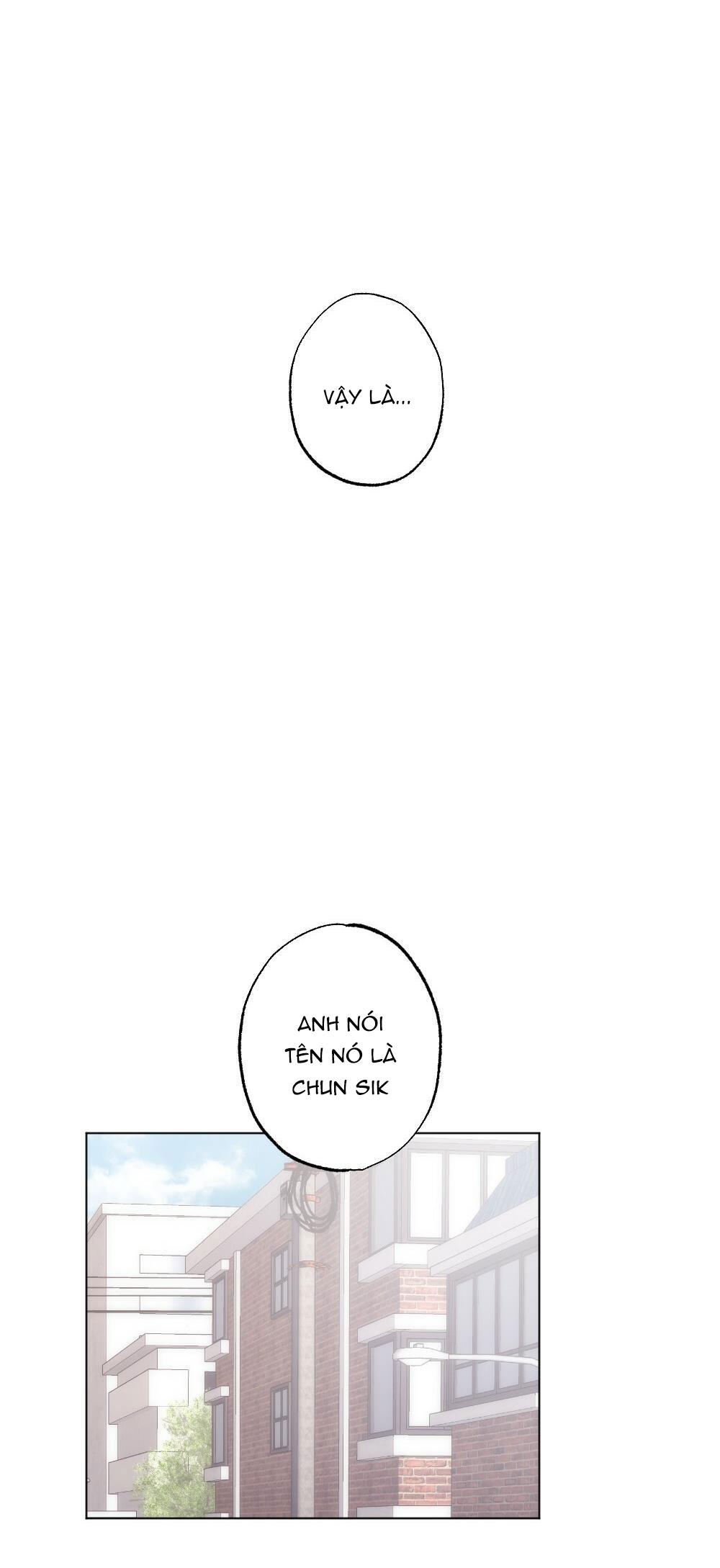 TUYỂN TẬP BL THÚ NHÂN VÀ XÚC TU Chapter 3.1 THÁM TỬ MÈO 1 - Next Chapter 3.2 THÁM TỬ MÈO 2