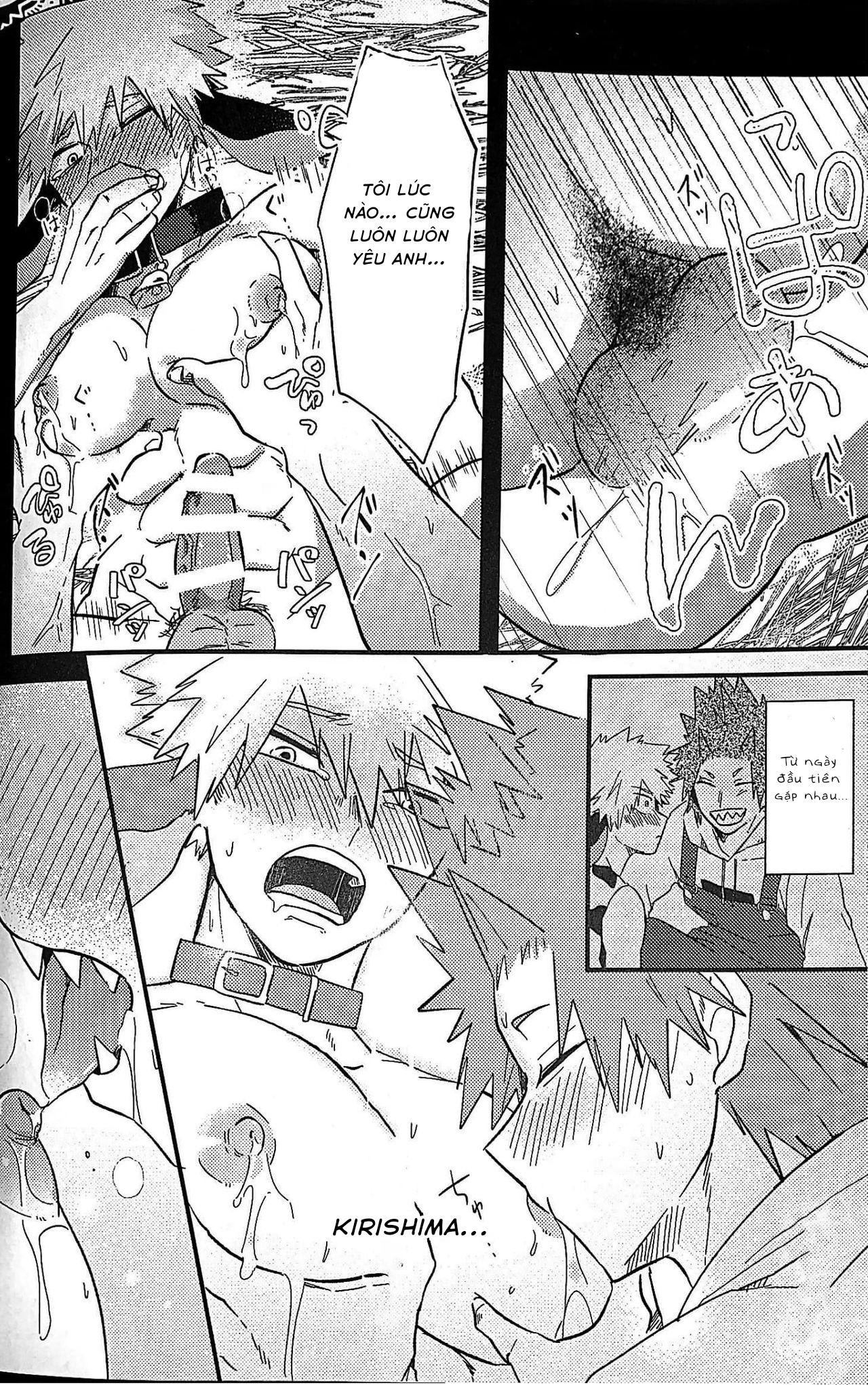 Ổ sìn OTP Chapter 80 KiriBaku - Next Chapter 81 Miya x Hinata