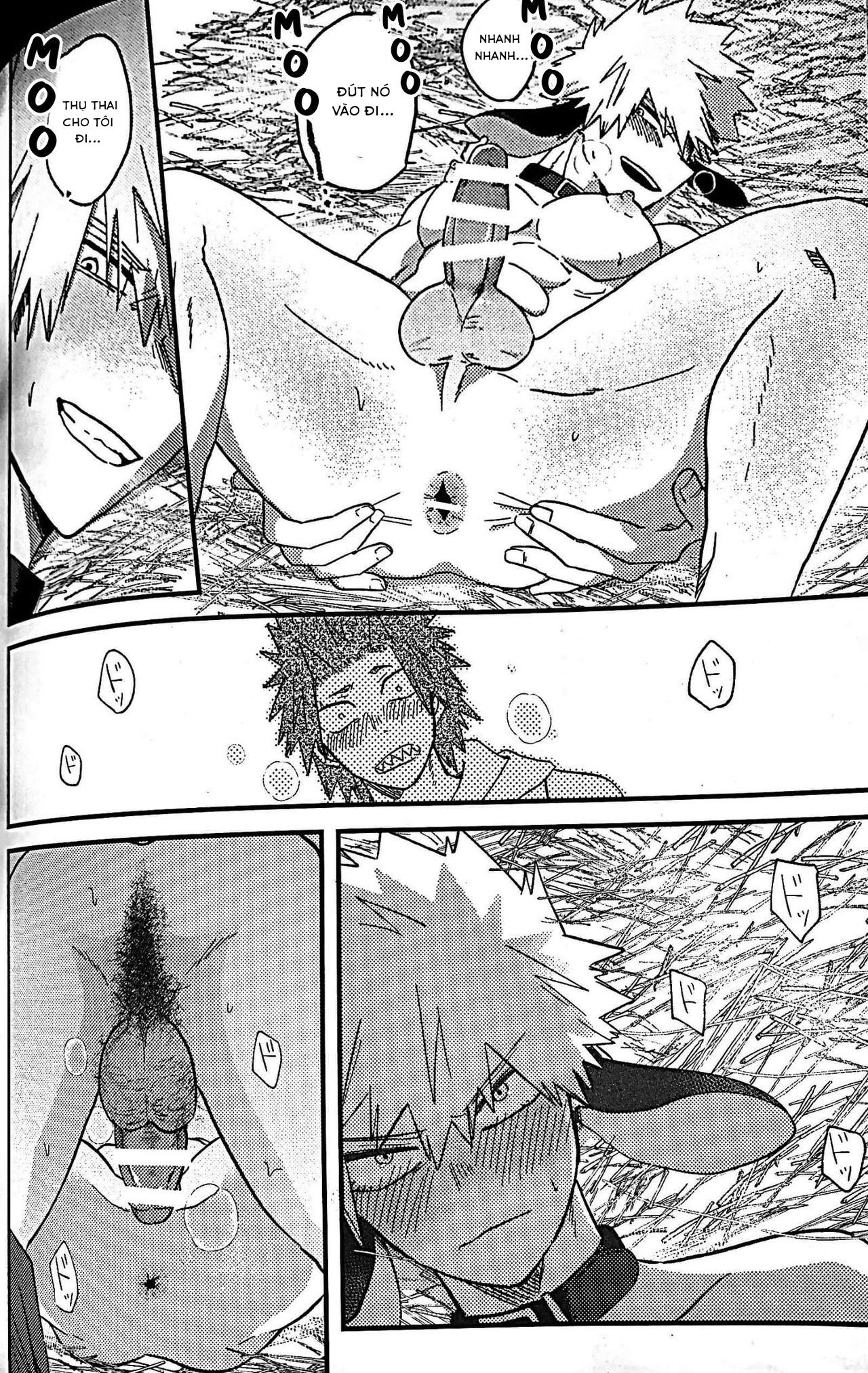 Ổ sìn OTP Chapter 80 KiriBaku - Next Chapter 81 Miya x Hinata