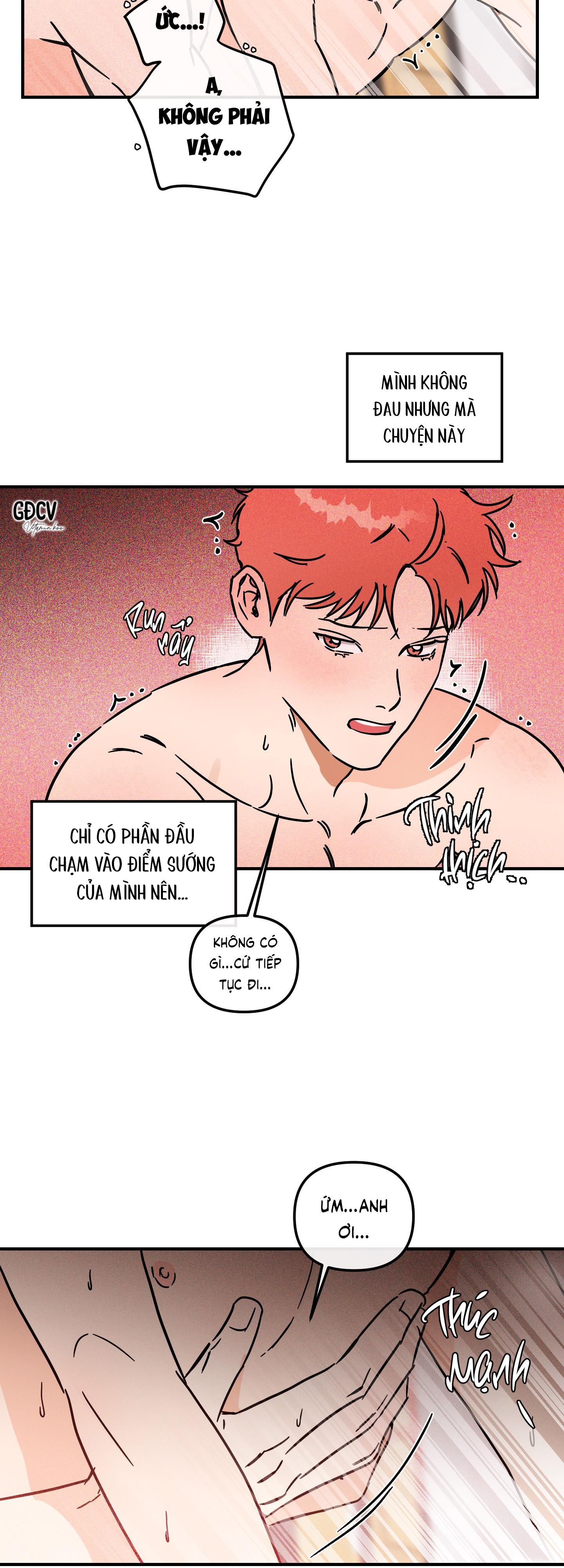 CÁ MINH THÁI KHÔ QUẮT RỒI! Chapter 21 18++ - Next Chapter 22 18+