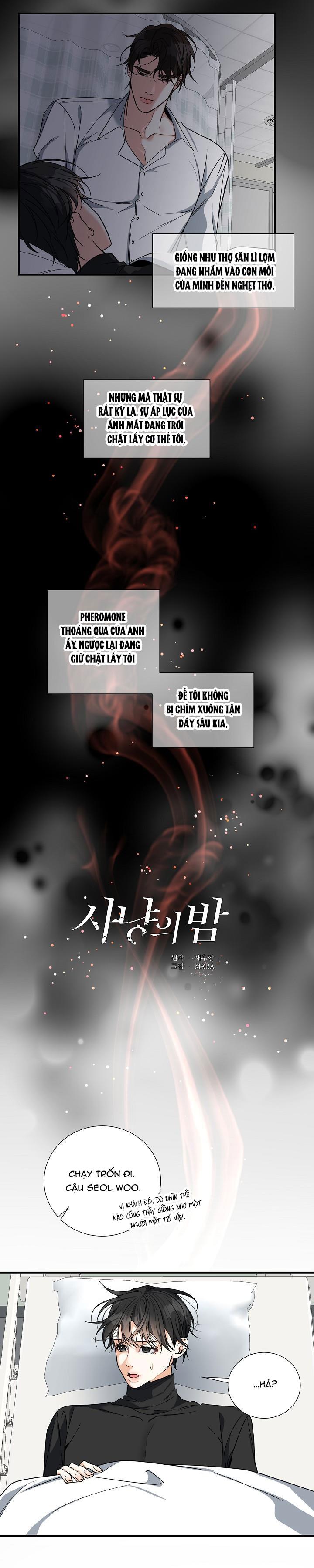 ĐÊM SĂN Chapter 12 - Next Chapter 13