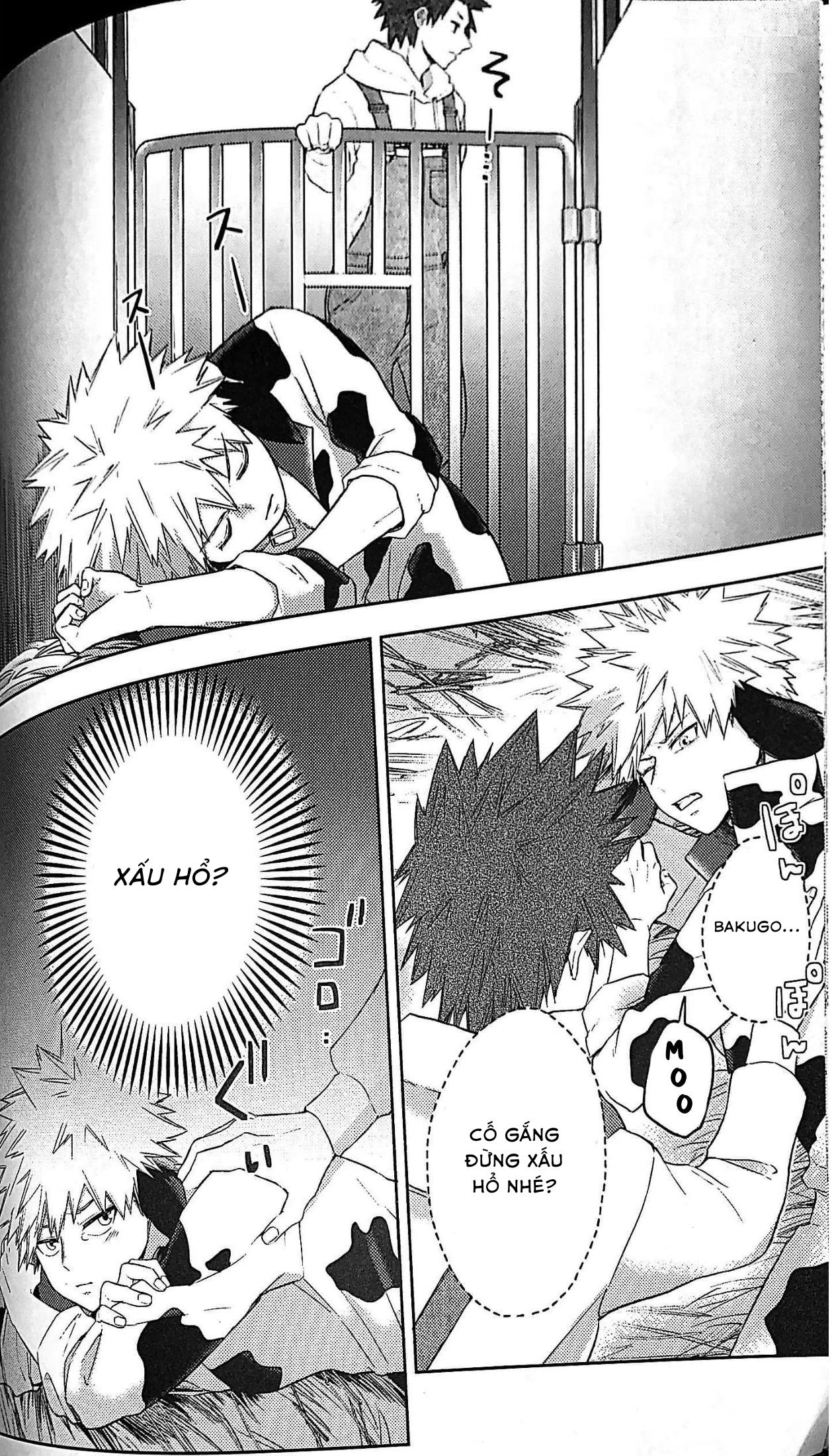 Ổ sìn OTP Chapter 80 KiriBaku - Next Chapter 81 Miya x Hinata