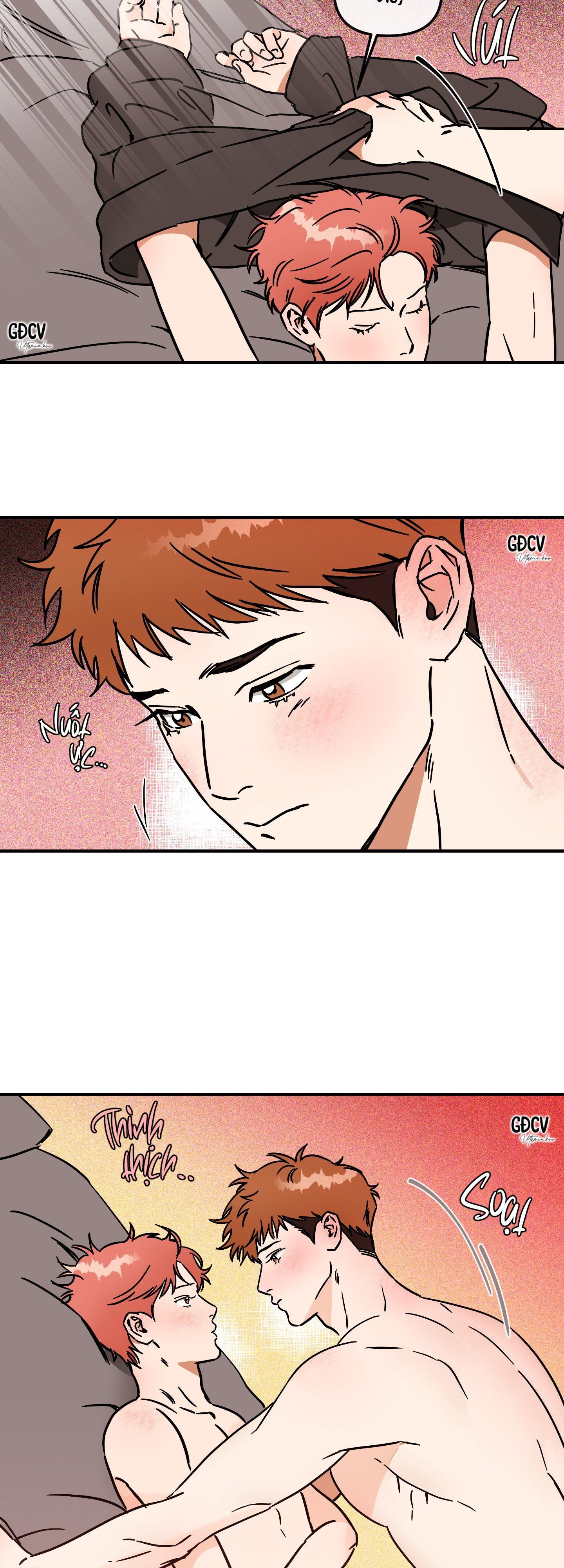 CÁ MINH THÁI KHÔ QUẮT RỒI! Chapter 21 18++ - Next Chapter 22 18+