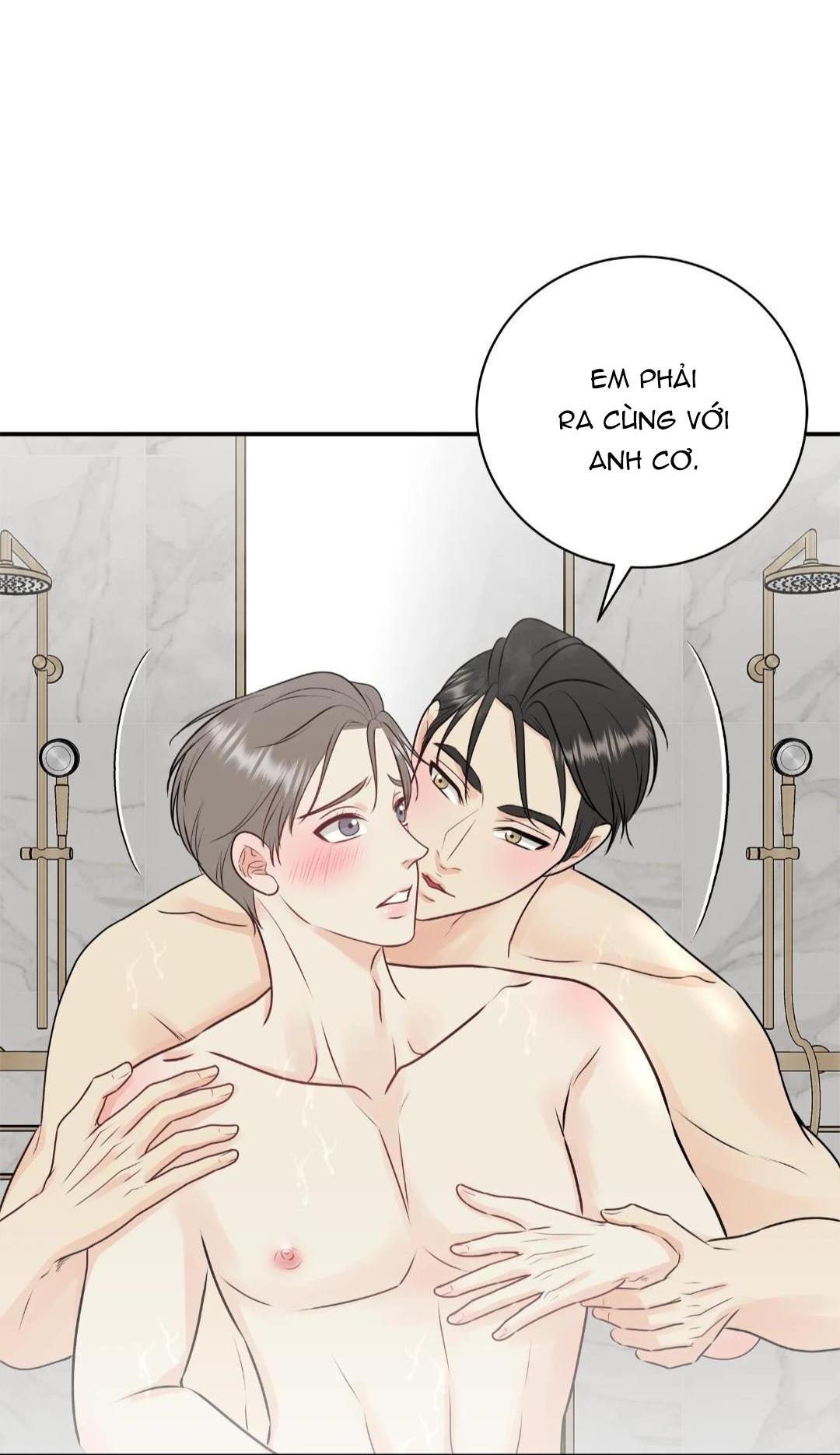 Hạnh Phúc Trọn Vẹn Chapter 24 - Next Chapter 25