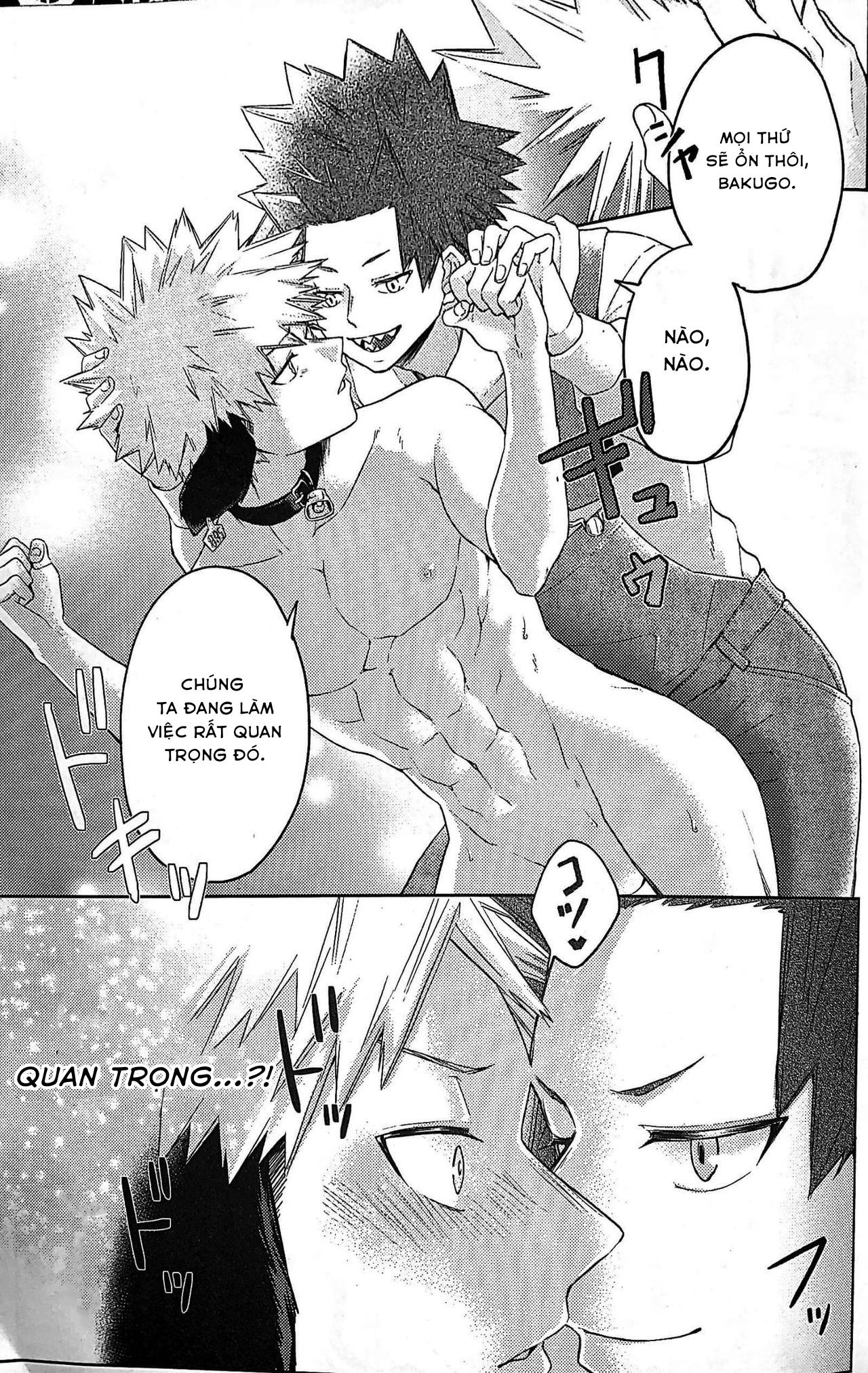 Ổ sìn OTP Chapter 80 KiriBaku - Next Chapter 81 Miya x Hinata