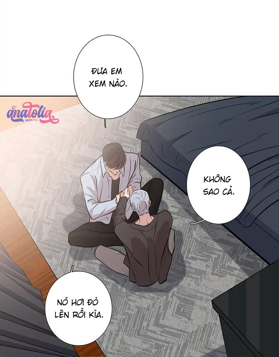 Đừng Chạm Vào Tim Tôi Chapter 78 - Next 