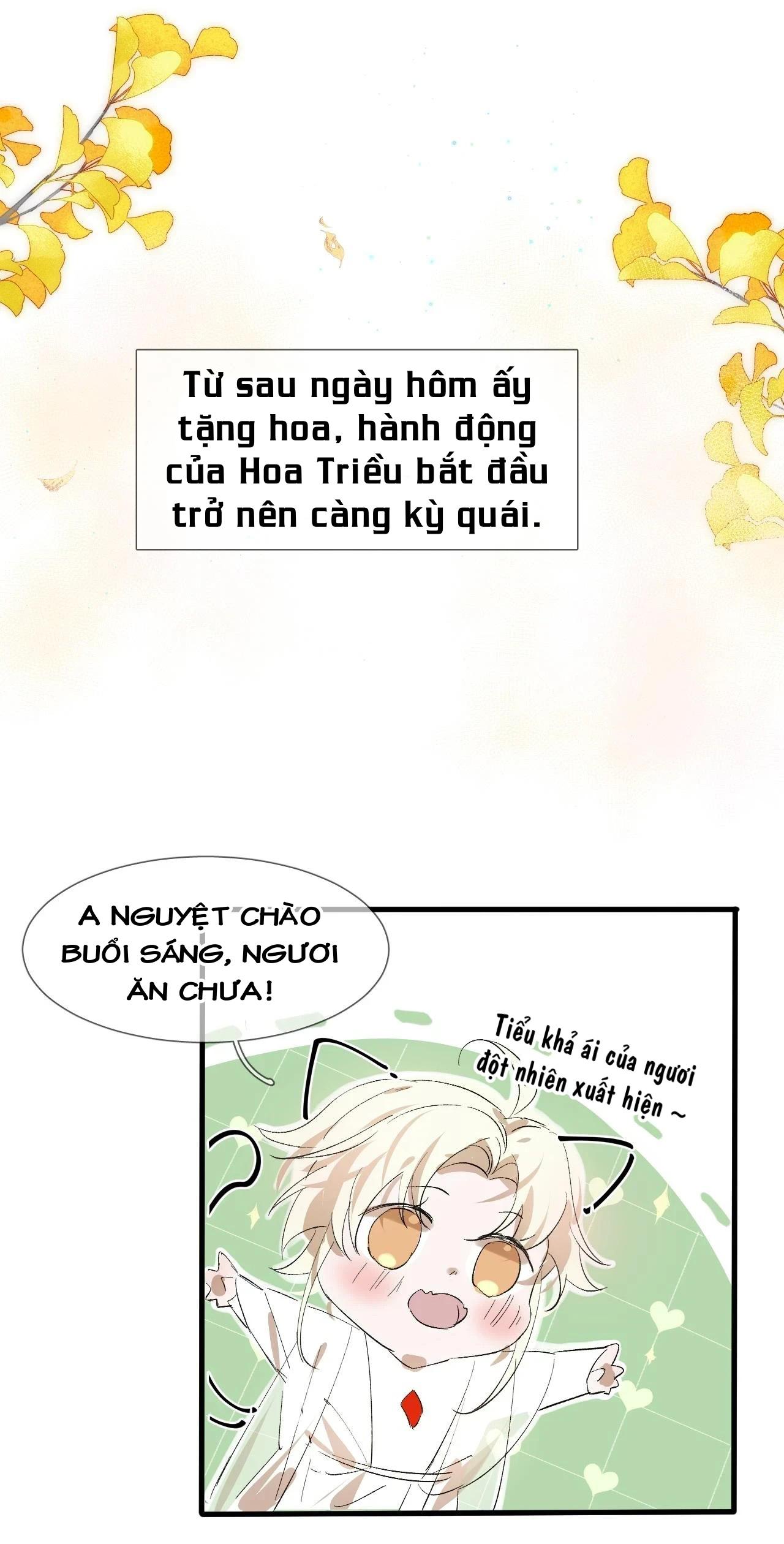 Tình lang Chapter 22 - Next Chapter 23