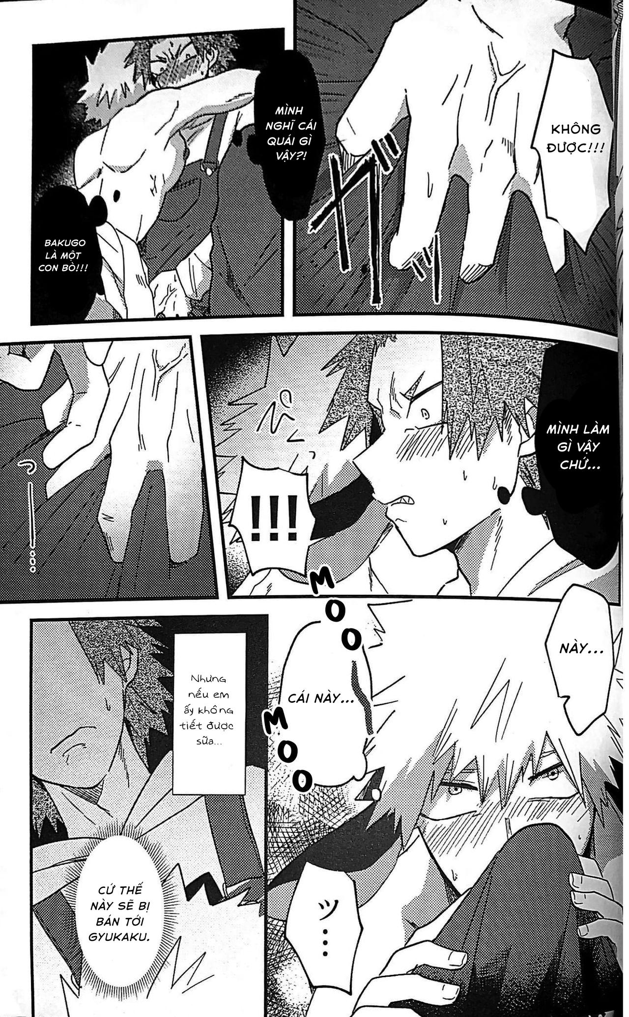 Ổ sìn OTP Chapter 80 KiriBaku - Next Chapter 81 Miya x Hinata