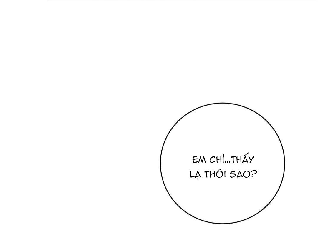 Hạnh Phúc Trọn Vẹn Chapter 23 - Next Chapter 24