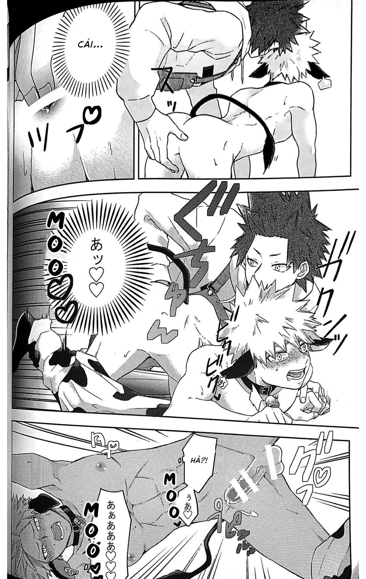 Ổ sìn OTP Chapter 80 KiriBaku - Next Chapter 81 Miya x Hinata