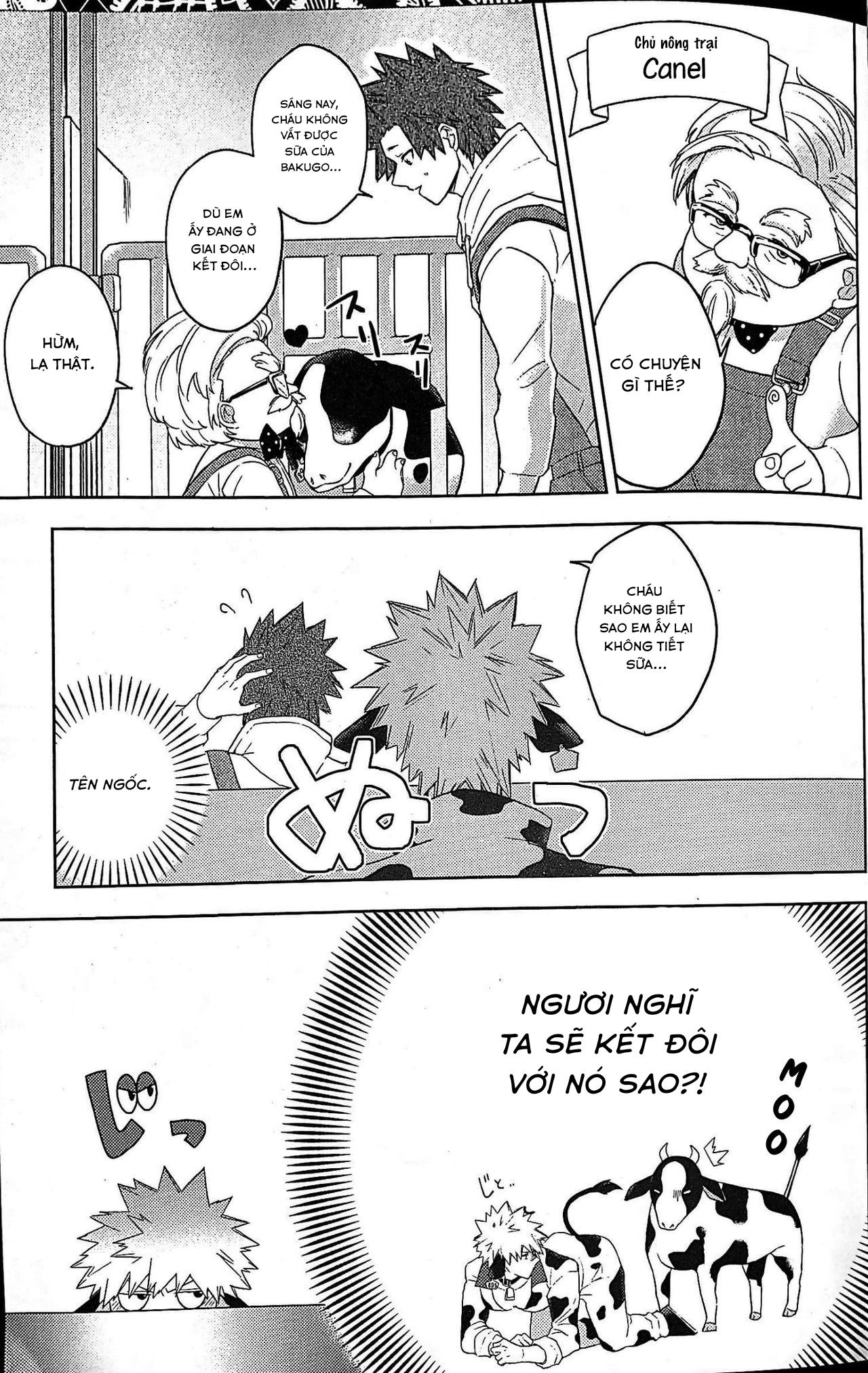 Ổ sìn OTP Chapter 80 KiriBaku - Next Chapter 81 Miya x Hinata