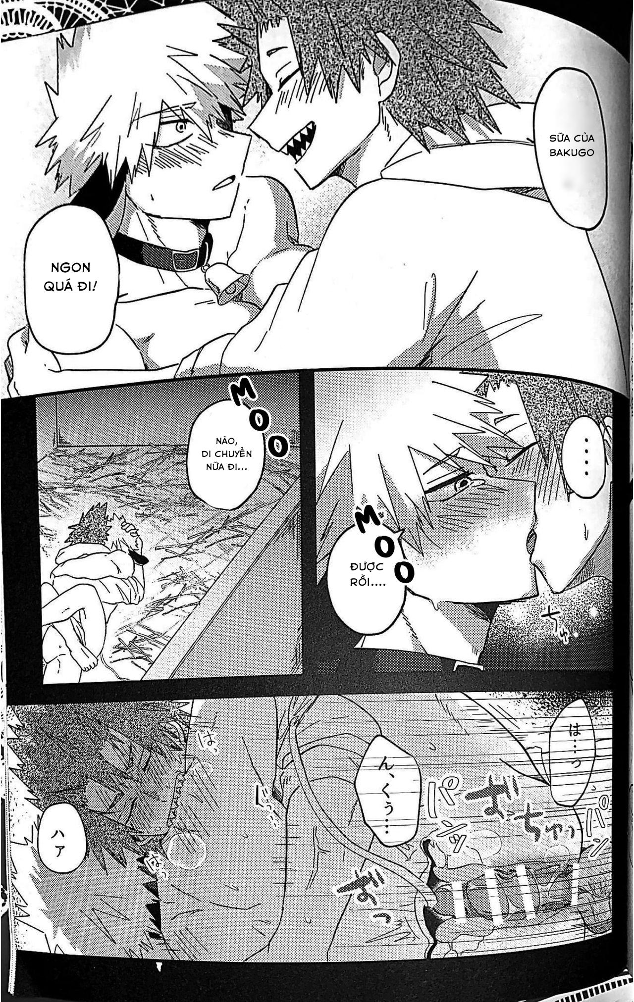 Ổ sìn OTP Chapter 80 KiriBaku - Next Chapter 81 Miya x Hinata