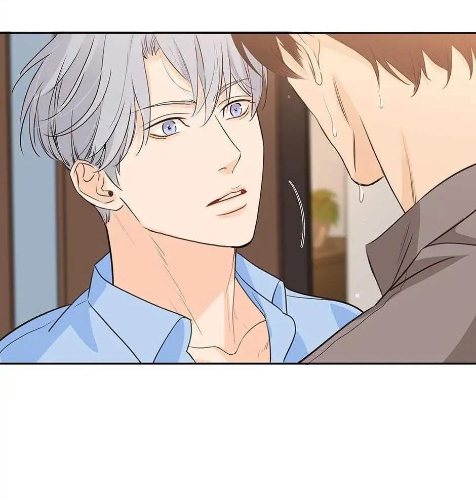 Đừng Chạm Vào Tim Tôi Chapter 42 - Next Chapter 43