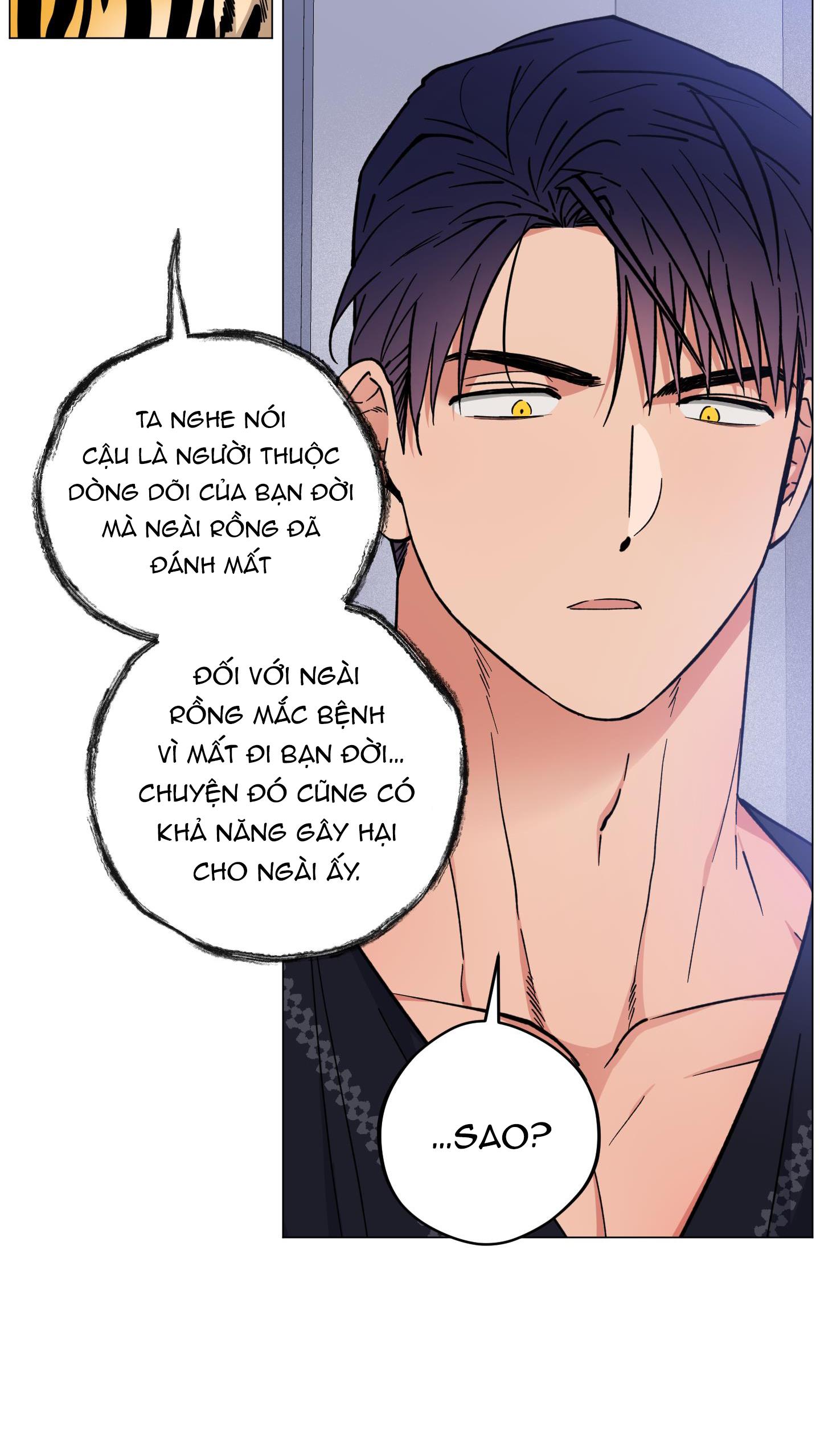 BÌNH MINH CỦA RỒNG Chapter 25 - Next Chapter 26