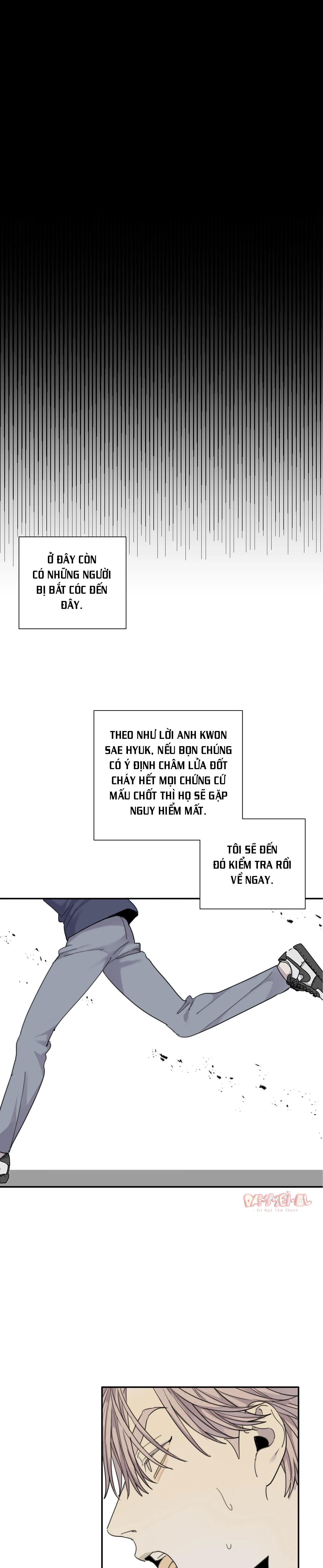 Chó Điên Chapter 47 - Next Chapter 48