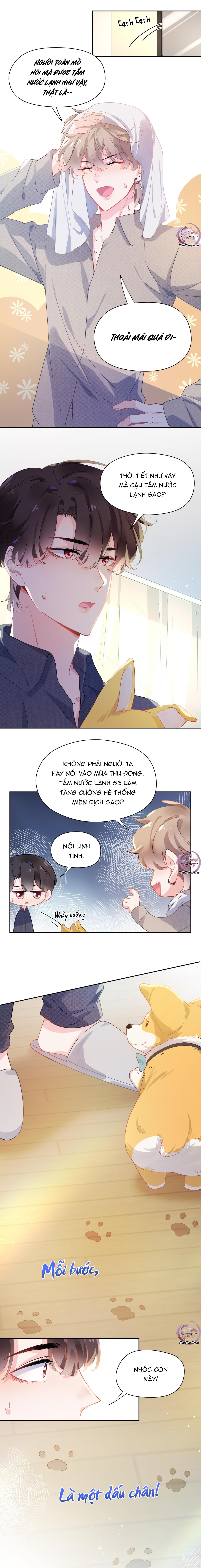 Có Bản Lĩnh Thì Cậu Thử Nổi Nóng Tiếp Đi? Chapter 84 - Next Chapter 85