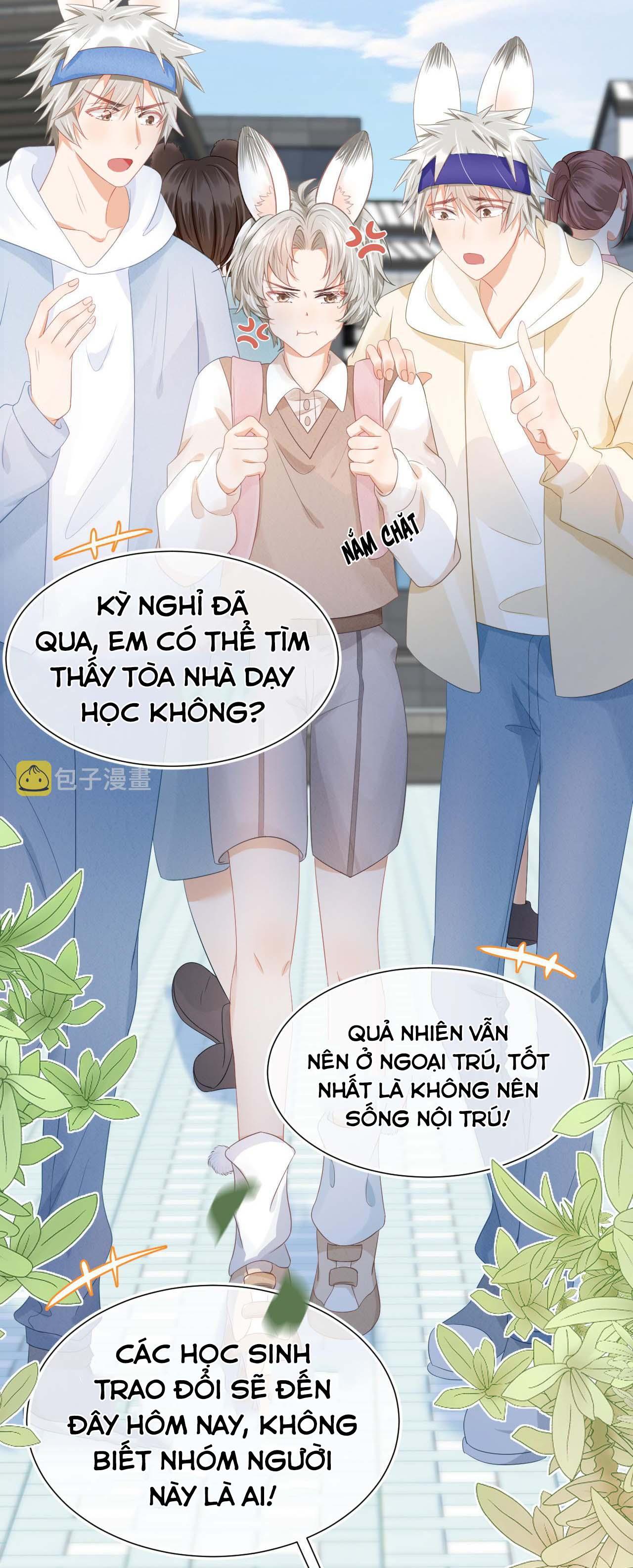 Ss2 Một ngụm ăn cả thỏ con Chapter 1 - Next Chapter 2