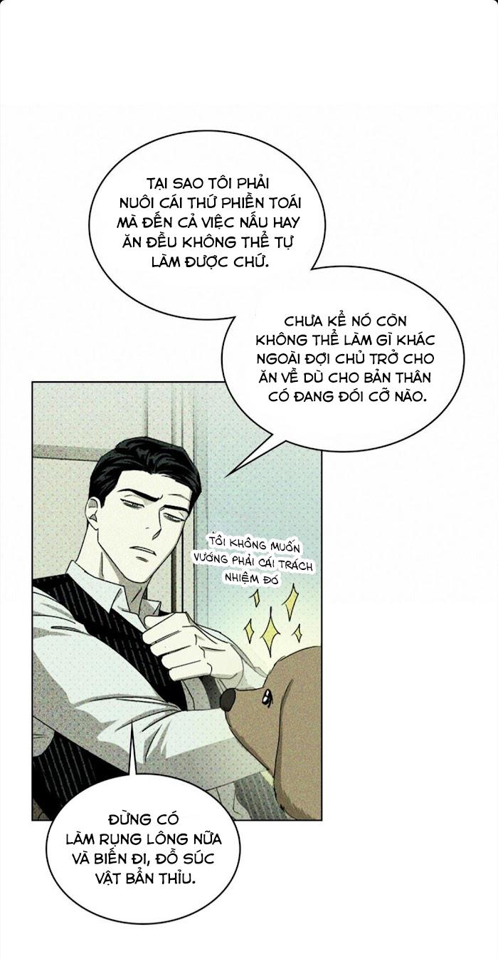 DƯỚI ÁNH ĐÈN XANH Ss2 Chapter 26 - Next Chapter 27