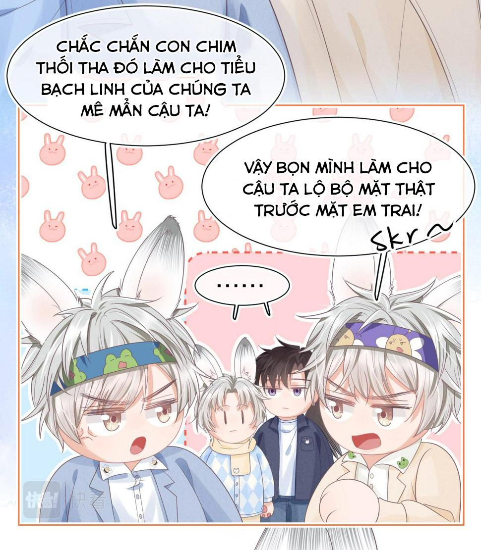 Ss2 Một ngụm ăn cả thỏ con Chapter 21 - Next Chapter 22