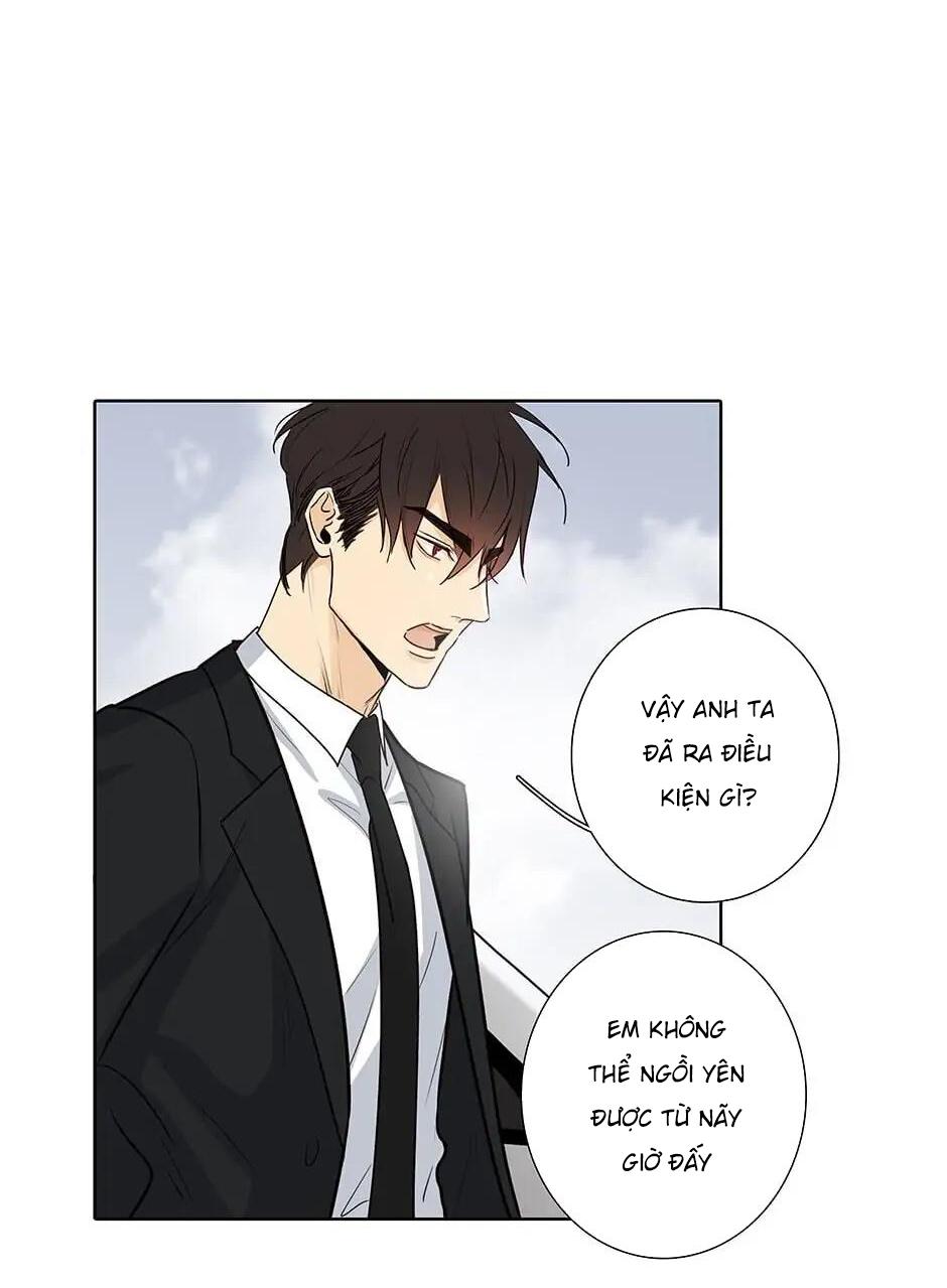 Đừng Chạm Vào Tim Tôi Chapter 46 - Next Chapter 47