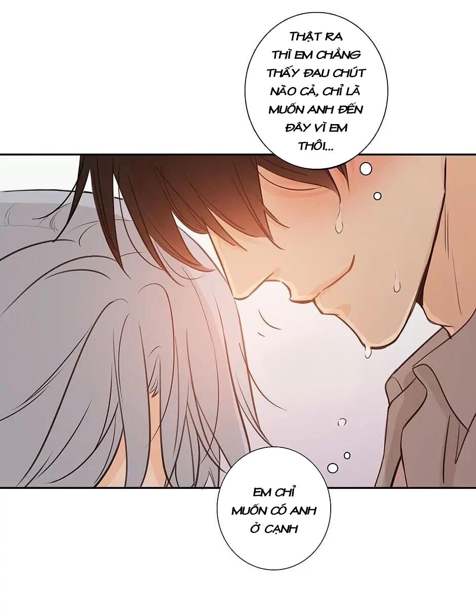 Đừng Chạm Vào Tim Tôi Chapter 42 - Next Chapter 43