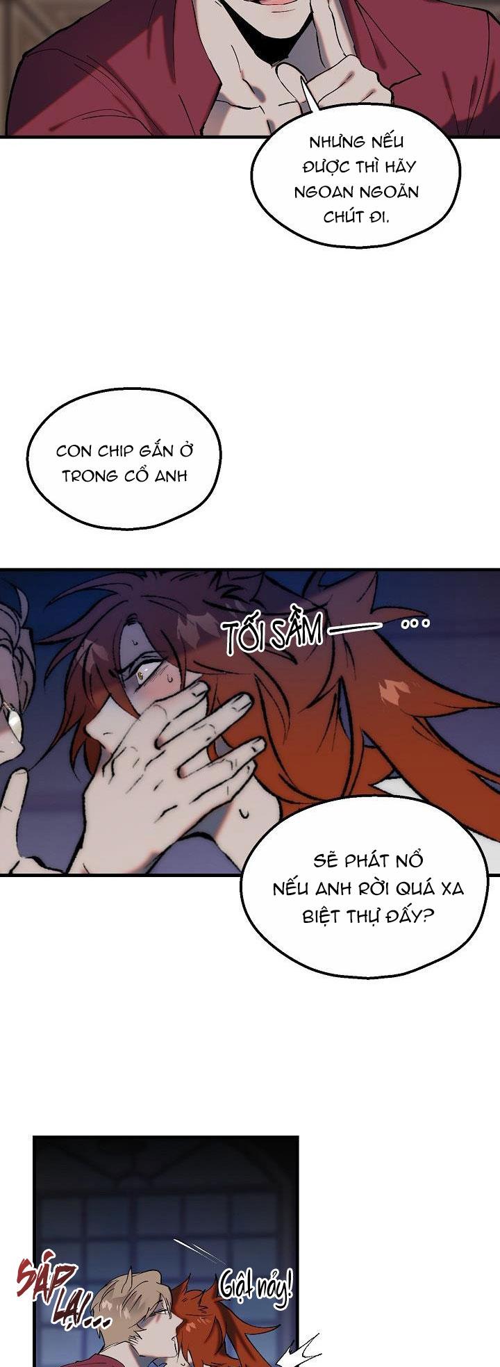 BA CHÚ HEO CON Chapter 8 - Next Chapter 9 NT-18+