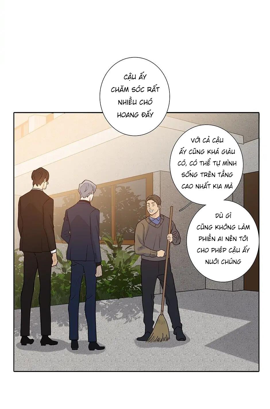 Đừng Chạm Vào Tim Tôi Chapter 46 - Next Chapter 47