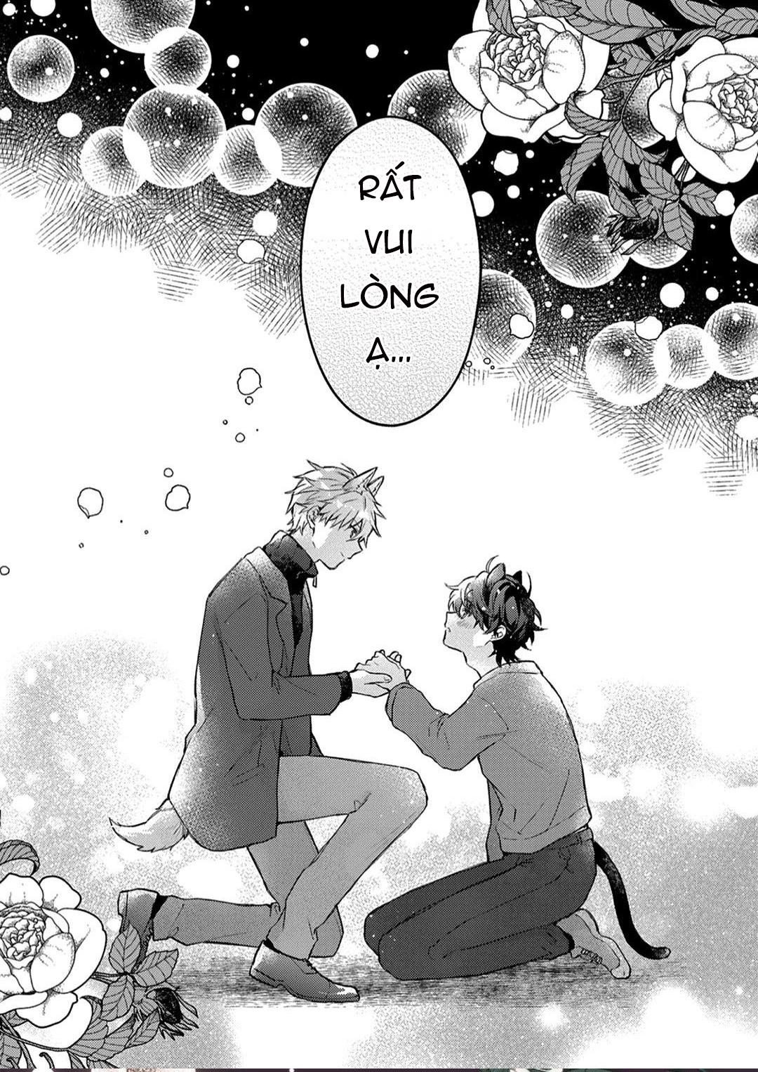 Mèo Đen Và Chàng Sói Chapter 1 - Next Chapter 2