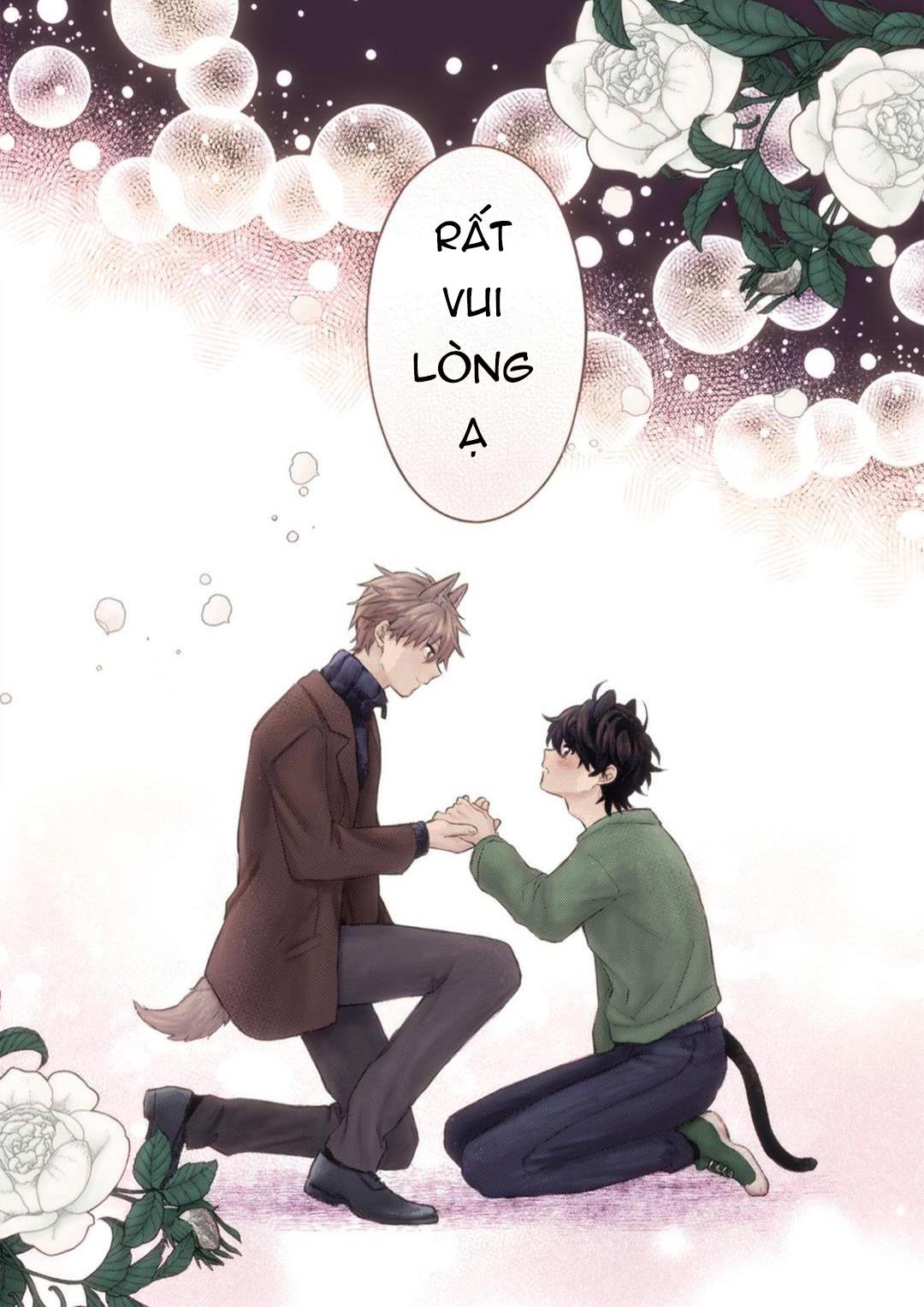 Mèo Đen Và Chàng Sói Chapter 1 - Next Chapter 2