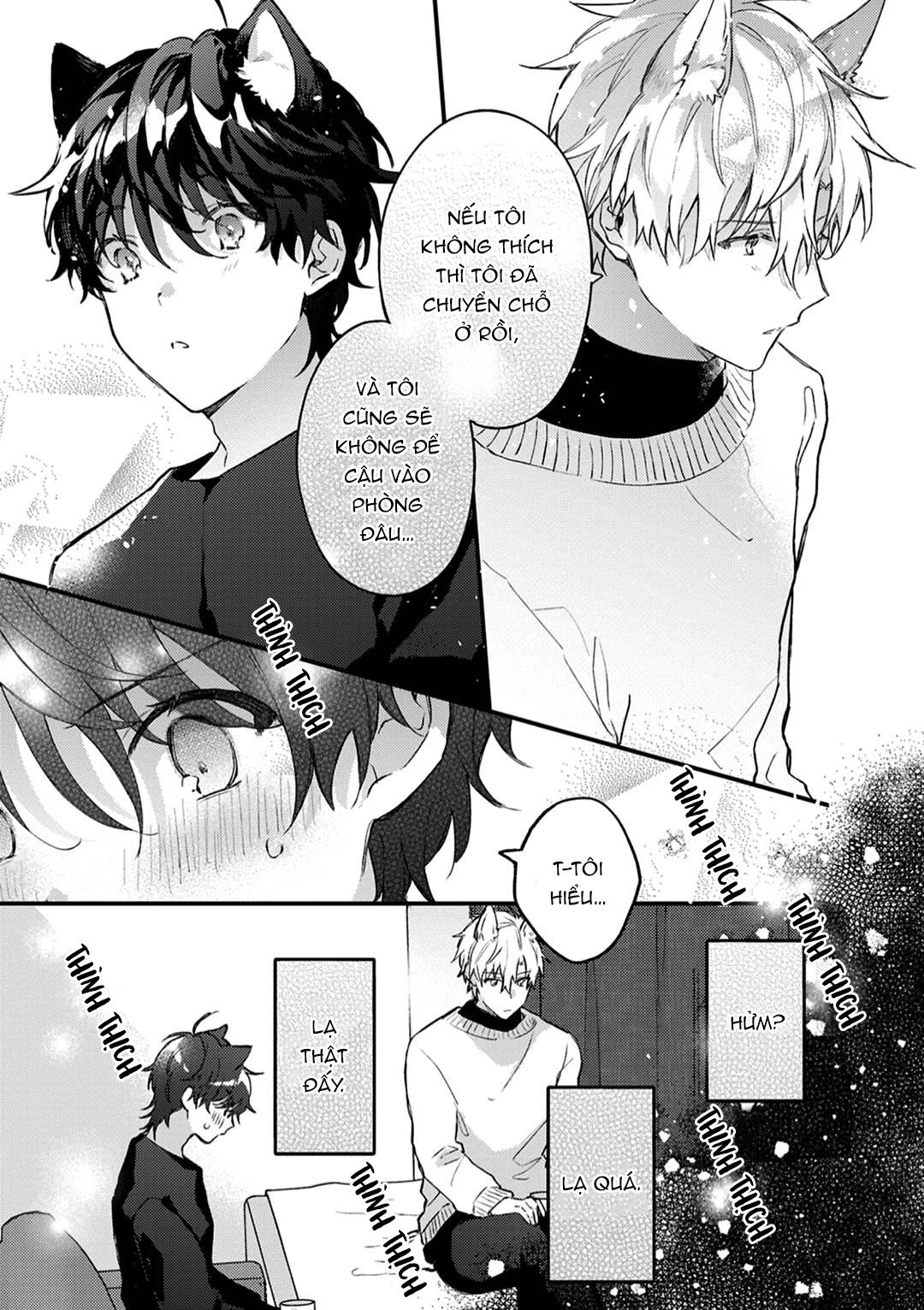 Mèo Đen Và Chàng Sói Chapter 3 - Next Chapter 4