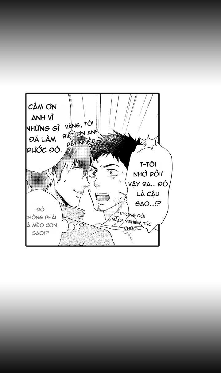 HỔ CÁI CỦA TAIGA Chapter 8 - Next Chapter 9