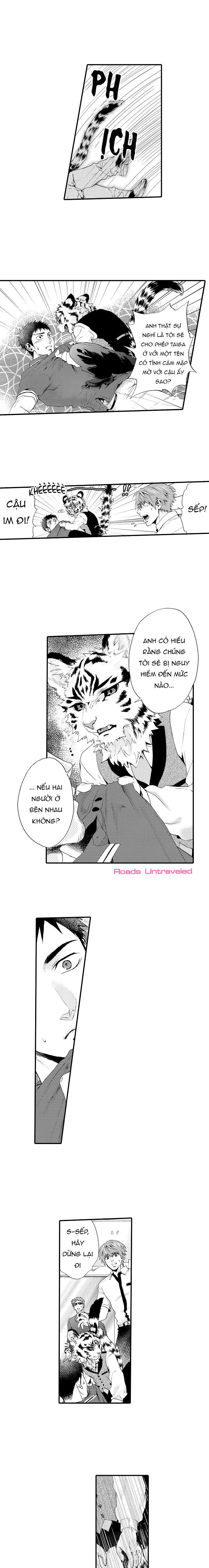 HỔ CÁI CỦA TAIGA Chapter 9 - Next Chapter 10