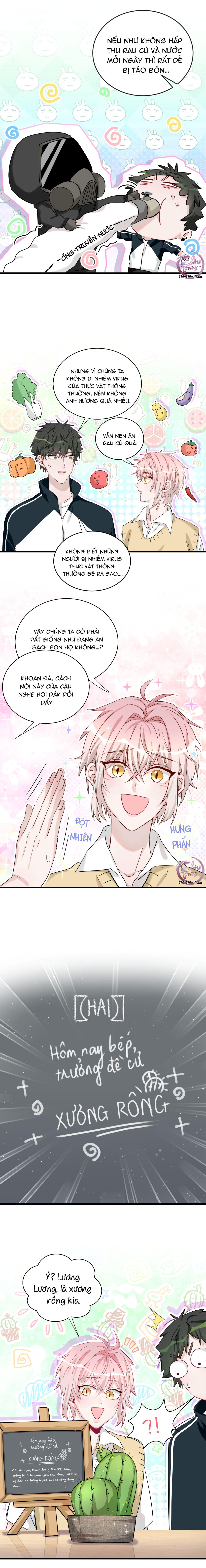 Đến Gần Cậu, Tớ Sẽ Rụng Gai (END) Chapter 9 - Next Chapter 10