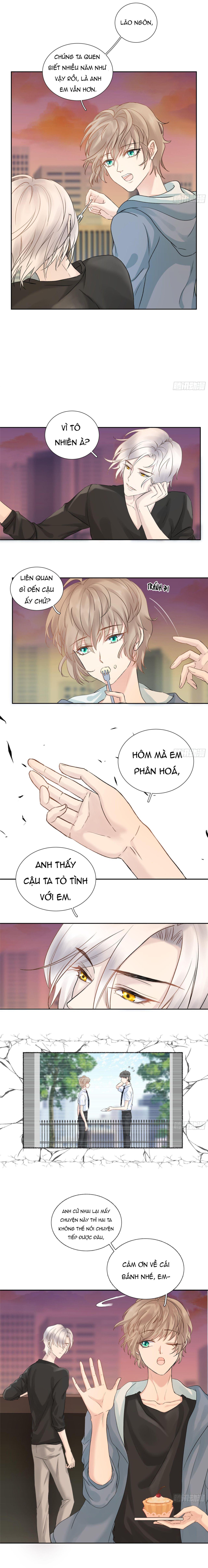 Tôi Nghi Ngờ Cậu Đang Yêu Thầm Tôi (END) Chapter 12 - Trang 2