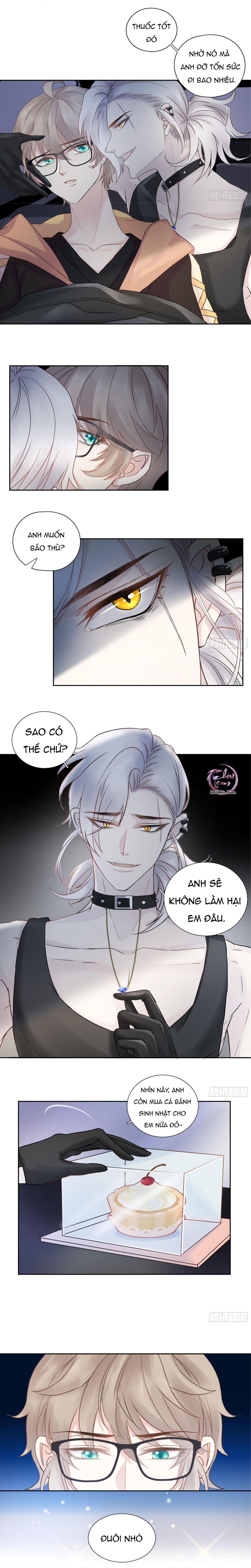 Tôi Nghi Ngờ Cậu Đang Yêu Thầm Tôi (END) Chapter 12 - Trang 2