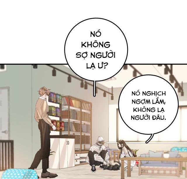 Hàn Mạch Tựa Quang Chapter 11 - Next Chapter 12