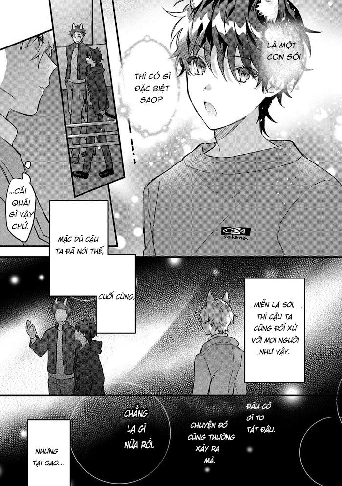 Mèo Đen Và Chàng Sói Chapter 4 - Next Chapter 5