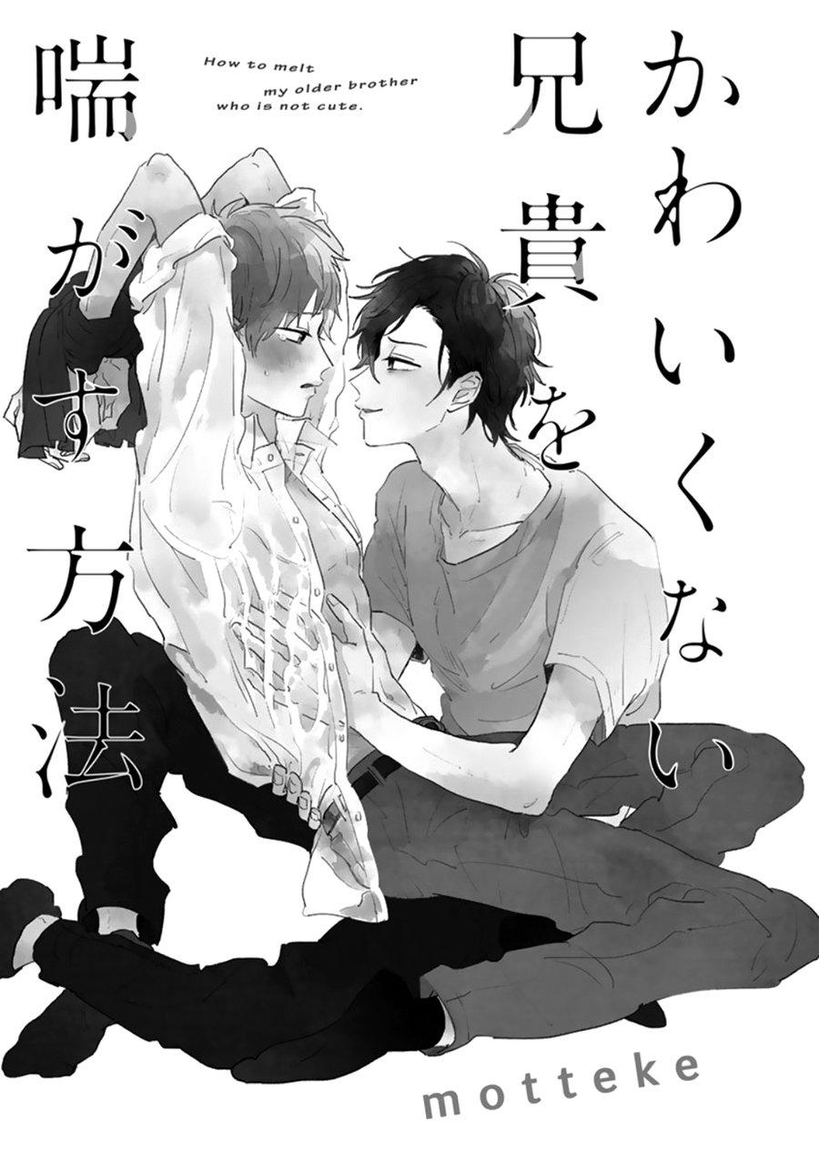 Kawaikunai Aniki o Aegasu Houho-Vol 1 Chapter 1 - Next Chapter 2