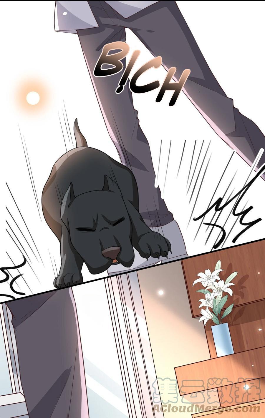 Ngoài Vòng Pháp Luật Chapter 14 - Next Chapter 15