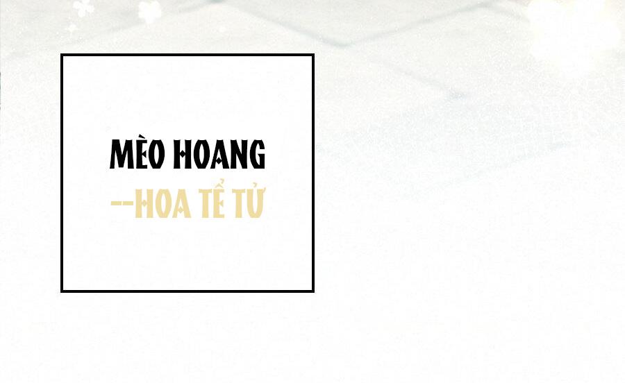 Mối quan hệ không được thuần hóa Chapter 14 - Next 