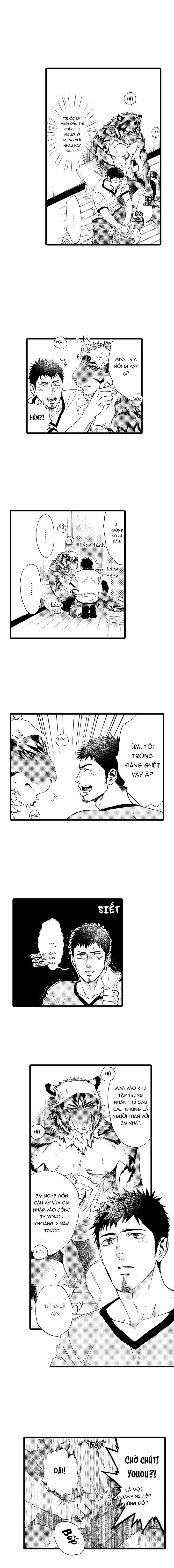 HỔ CÁI CỦA TAIGA Chapter 21 - Next Chapter 22