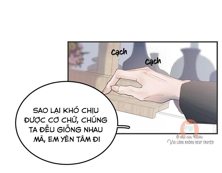 Hàn Mạch Tựa Quang Chapter 22 - Next Chapter 23