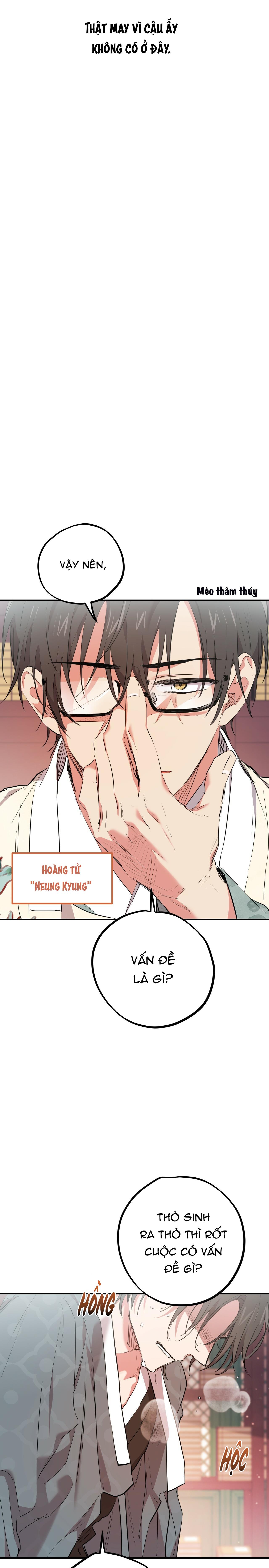 NHỮNG CHÚ THỎ CỦA HABIBI Chapter 21 - Next Chapter 22