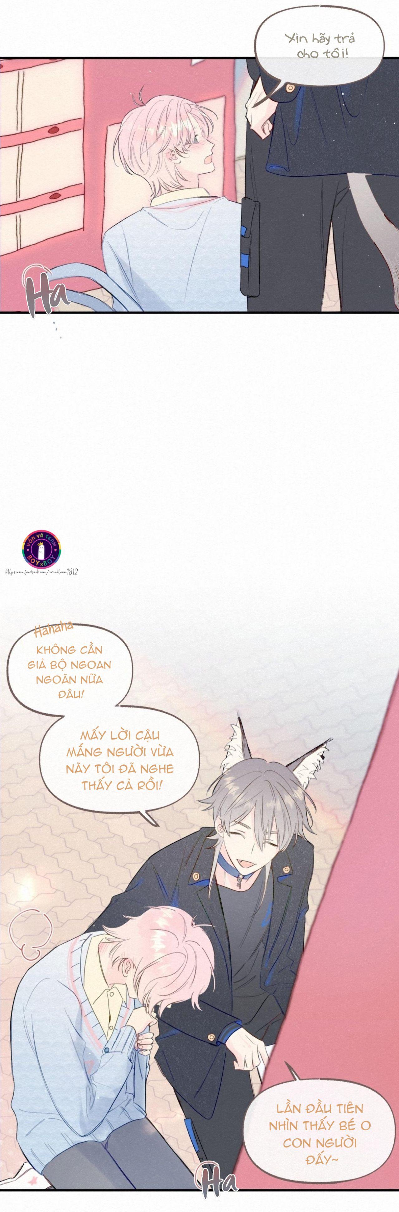 Tanuki Chapter 1 - Next 