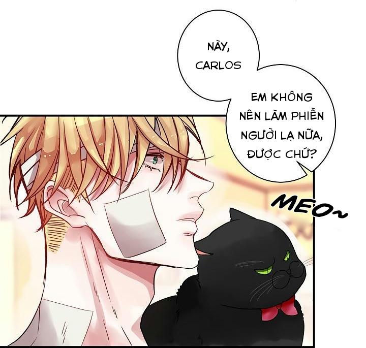 HÃY CHỊU TRÁCH NHIỆM ĐI! Chapter 1 - Next Chapter 2