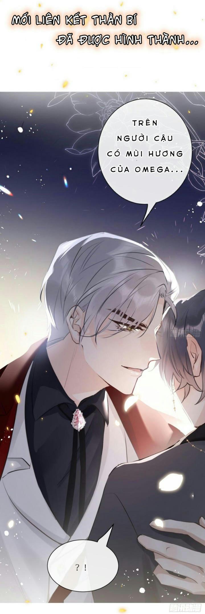 Mối liên kết bí mật Chapter 3 - Next Chapter 4