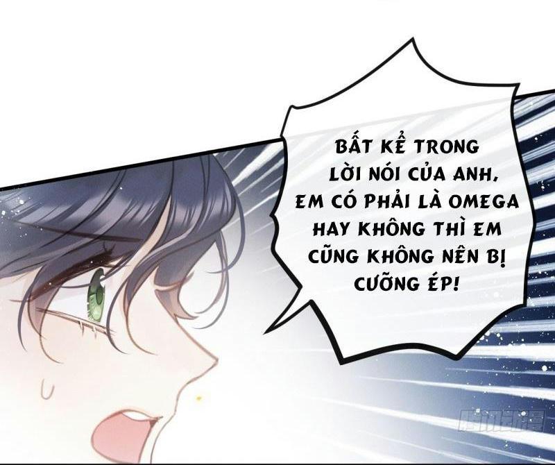 Mối liên kết bí mật Chapter 16 - Next Chapter 17