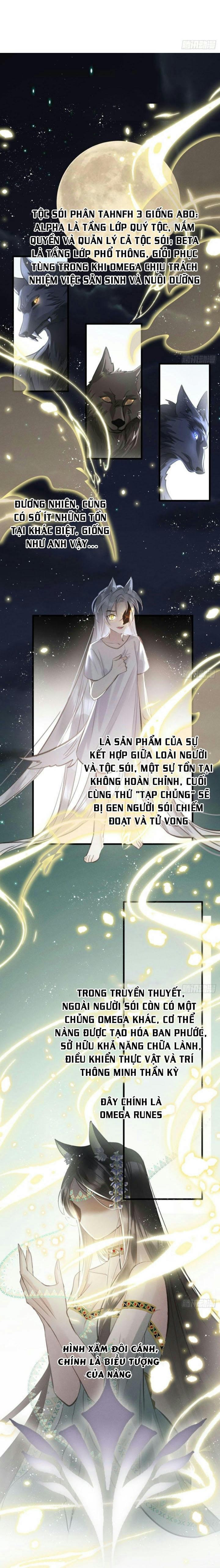 Mối liên kết bí mật Chapter 17 - Next Chapter 18