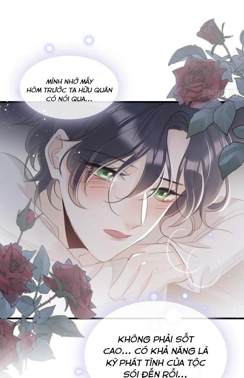 Mối liên kết bí mật Chapter 29 - Next Chapter 30