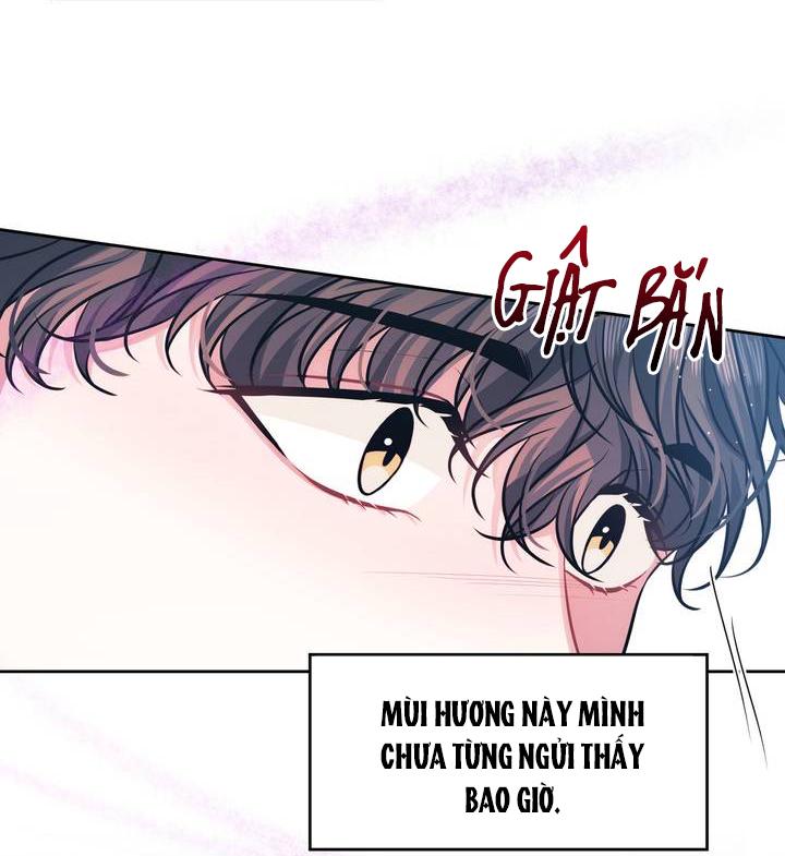 Hình Bóng Của Sự Tái Ngộ Chapter 1 - Next 